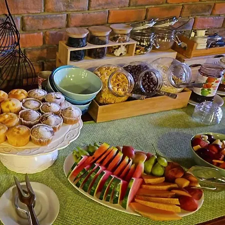 巴尔利卡住宿加早餐旅馆 茨里克韦尼察