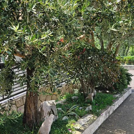 فندق مبيت وإفطار Barica
